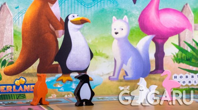 ���������� ���� ������� ���-����� (New York Zoo)