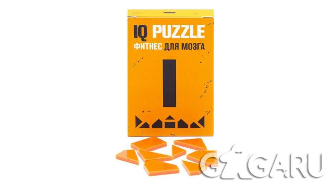 ����������� IQ PUZZLE ����� I V1 orange (8 �������)
