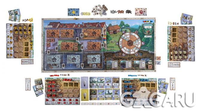���������� ���� ����� �� ������� (Rats of Wistar)